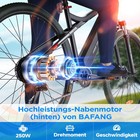 Bild 7 von 11