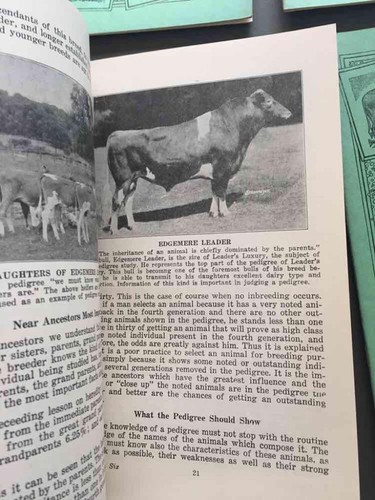 Prof. Jesse Beery How to Breed Live Stock & Animal Breeding 1944 Complete Set 10 - Imagen 4 de 8