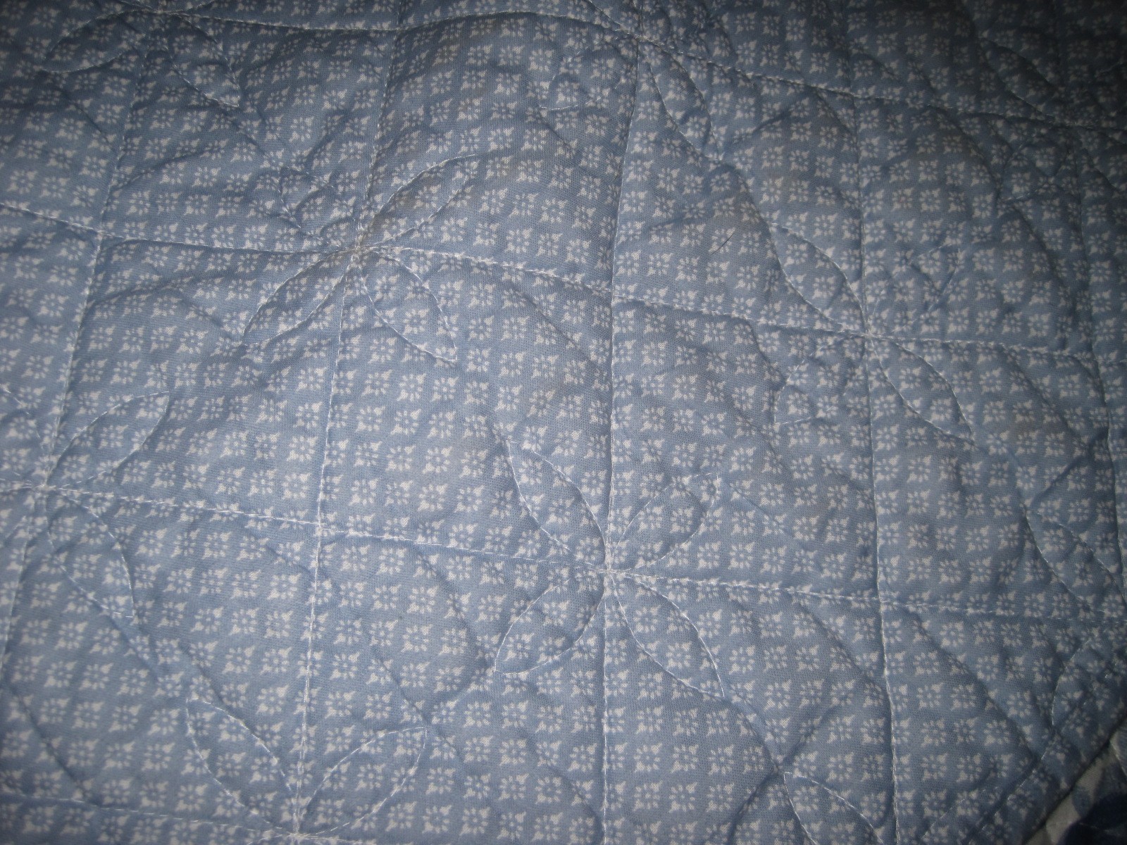 Picture 6 of 14