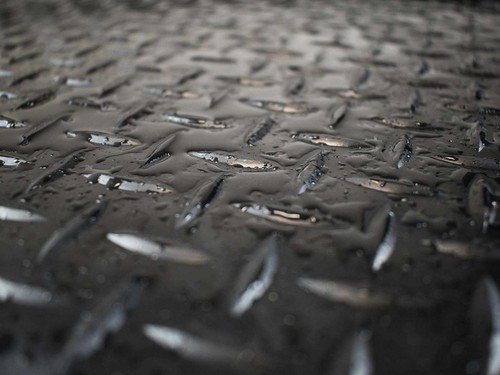 CAR FLOOR MATS FOR MINI r50-r53 2001 TO 2006 ALL WEATHER TAILORED BLACK CARPET - Picture 10 of 11