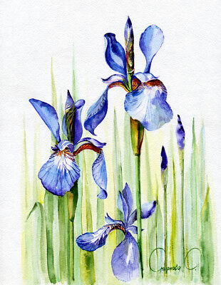 Caroline's Treasures BB7482DS812 Watercolor Blue Flowers and Swirls Wall or Door Hanging Prints 8x12 Multicolor Caroline's Treasures BB7482DS812 Watercolor Blue Flowers and Swirls Wall or Door Hanging Prints 8x12 Multicolor
