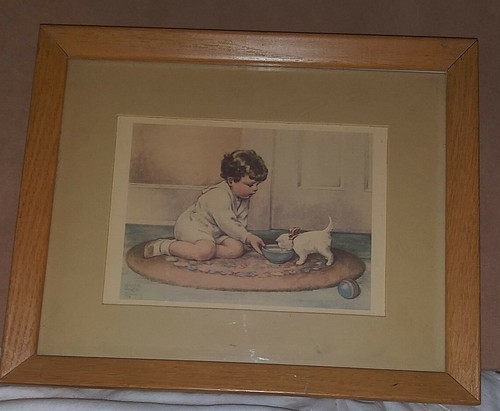 Schönes, gerahmtes Bild von einem kleinen Jungen, der ein kleines weißes Kätzchen füttert - Bild 1 von 6