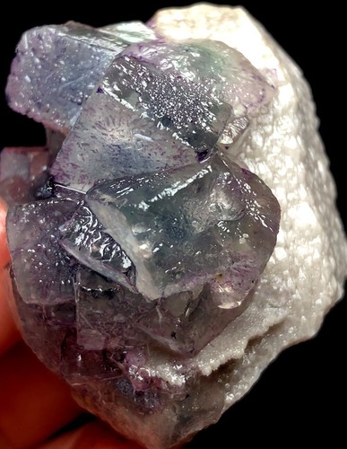 85g NATURALE Castello Cactus Scheletro Elestiale QUARZO Cristallo Punta e Fluorite s520 - Foto 8 di 8