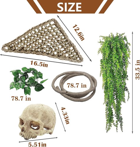 Decoration Bearded Dragon Tank Accessories Resin Human Reptile Habitat Skull - Picture 3 of 6
