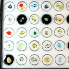 Gemstone Lot 35+ Carats Natural Mixed Faceted and Cabochon Parcel - 2a
