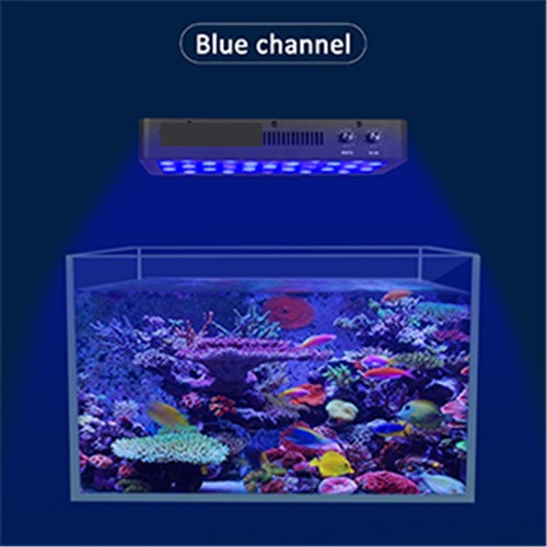 Dimmable 165W Full Spectrum LED Aquarium Light For Freshwater Reef Coral LPS/SPS - Picture 11 of 12