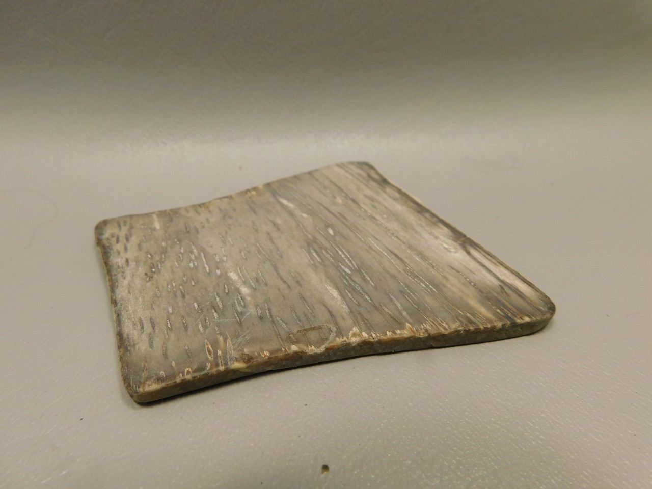 Picture 6 of 6