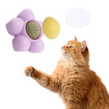 Universal Catnip Balls Cat Teeth Cleaning Ball Purple Yellow