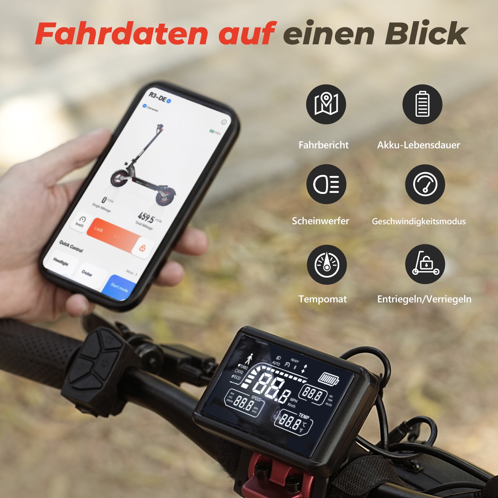 Bild 3 von 14
