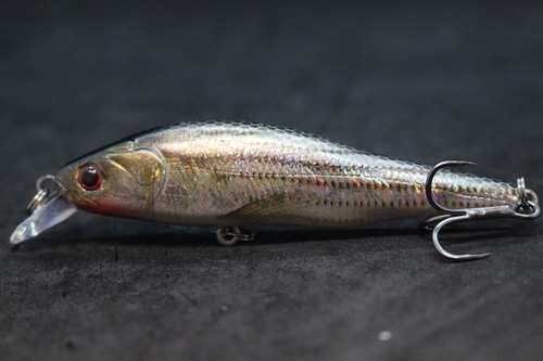 Jerkbait esca pesca esca Bass Fishing wLure 3 1/3 pollice 1/4oz realistico HM597 - Foto 13 di 60
