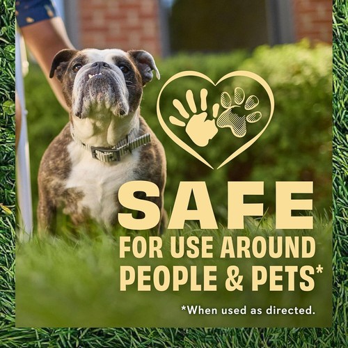 O.M. Scott & Sons Tall Fescue Grass Seed, Fertilizer&Soil Improver, 8lb,2000sqft - Picture 3 of 12