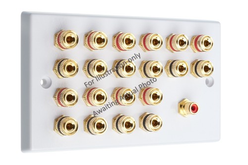 Audio Speaker AV 10.1 Wall Face Plate 20 Terminal Binding Posts + 1 RCA - Picture 10 of 19