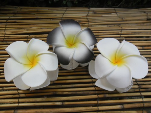 Frangipani Claw Hair Clips 7cm or 9cm x 3pcs - Double Flower white & black - Picture 5 of 28