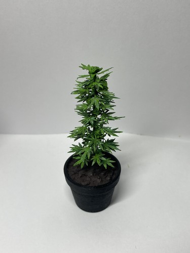 Planta en maceta miniatura 1/12🪴 para figuras de acción - Planta de malezas escala 1:12🌱 (PERSONALIZADA)💭 - Imagen 19 de 19