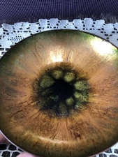 Florence Easly Art Glass Bowl Enamel And Glass Sunflower Design - Signed