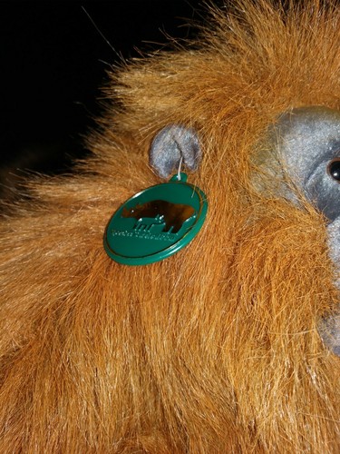 Orang-Utan Affe Plüsch AZA Species Survival Plan Realistischer Affe Plüsch - Bild 3 von 3