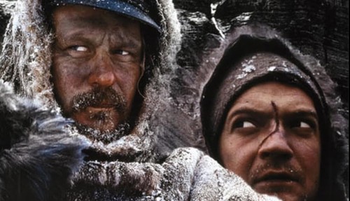 Zero Kelvin (1995) Eng,Nor Sub 2024 REMASTER DVD All Region - Imagen 2 de 9