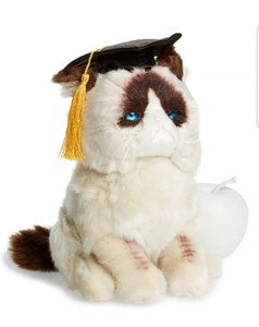 graduation cat plush