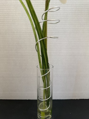 Tall Silk White Daisy Flower Arrangement in Clear Glass Vase with Faux Water - Picture 3 of 7