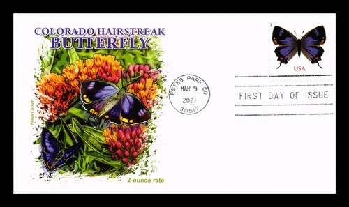 DR JIM STAMPS US COVER COLORADO HAIRSTREAK BUTTERFLY FDC PANDA CACHET