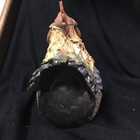 Picture 3 of 12