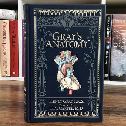 Gray’s Anatomy Descriptive & Surgical - Henry Gray (special Barnes & Noble ed.) - Picture 1 of 9