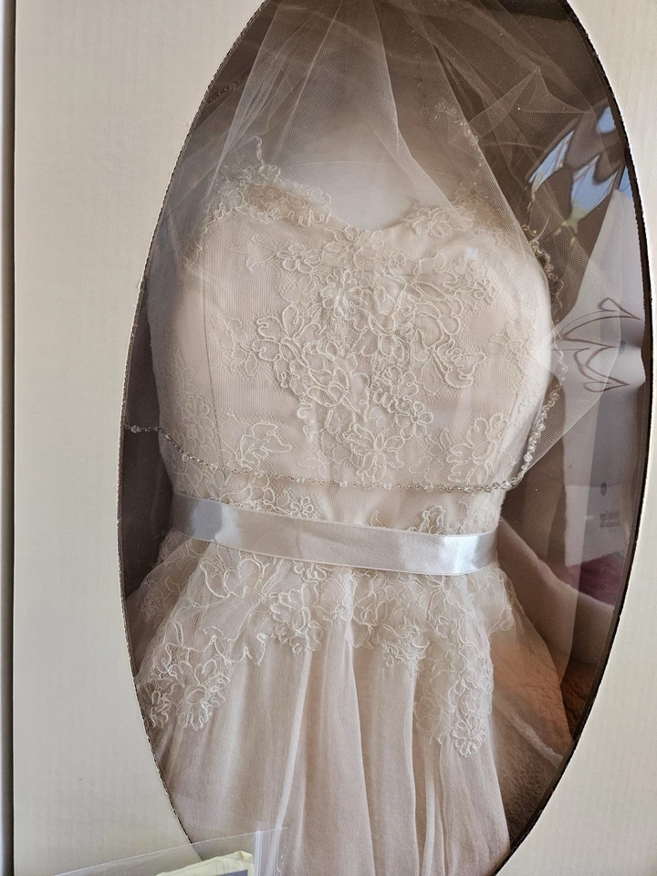 Vestido e véu de grife LeeAnn Belter (usado uma vez e restaurado profissionalmente) - Imagem 4 de 4