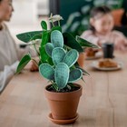  Garden Ornaments Outdoor Stakes Decorative Cactus Statue Decoration