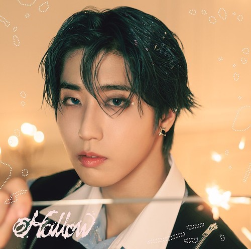 STRAY KIDS JAPAN 3rd MINI ALBUM Hollow ALL ver. CD & STAY FC UNIT PHOTO CARD - Picture 14 of 21