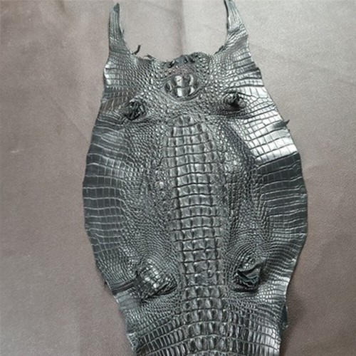 Genuine Alligator Crocodile Skin Leather Exotic Pelts Taxidermy Craft Multicolor - Picture 14 of 39