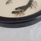 Picture 15 of 23