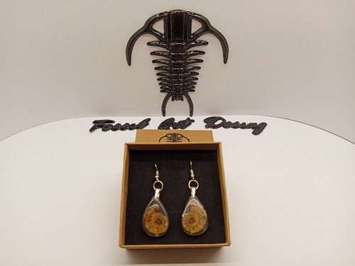 Fossil Shell Ammonite Orecchini Art.1sa - Foto 1 di 7