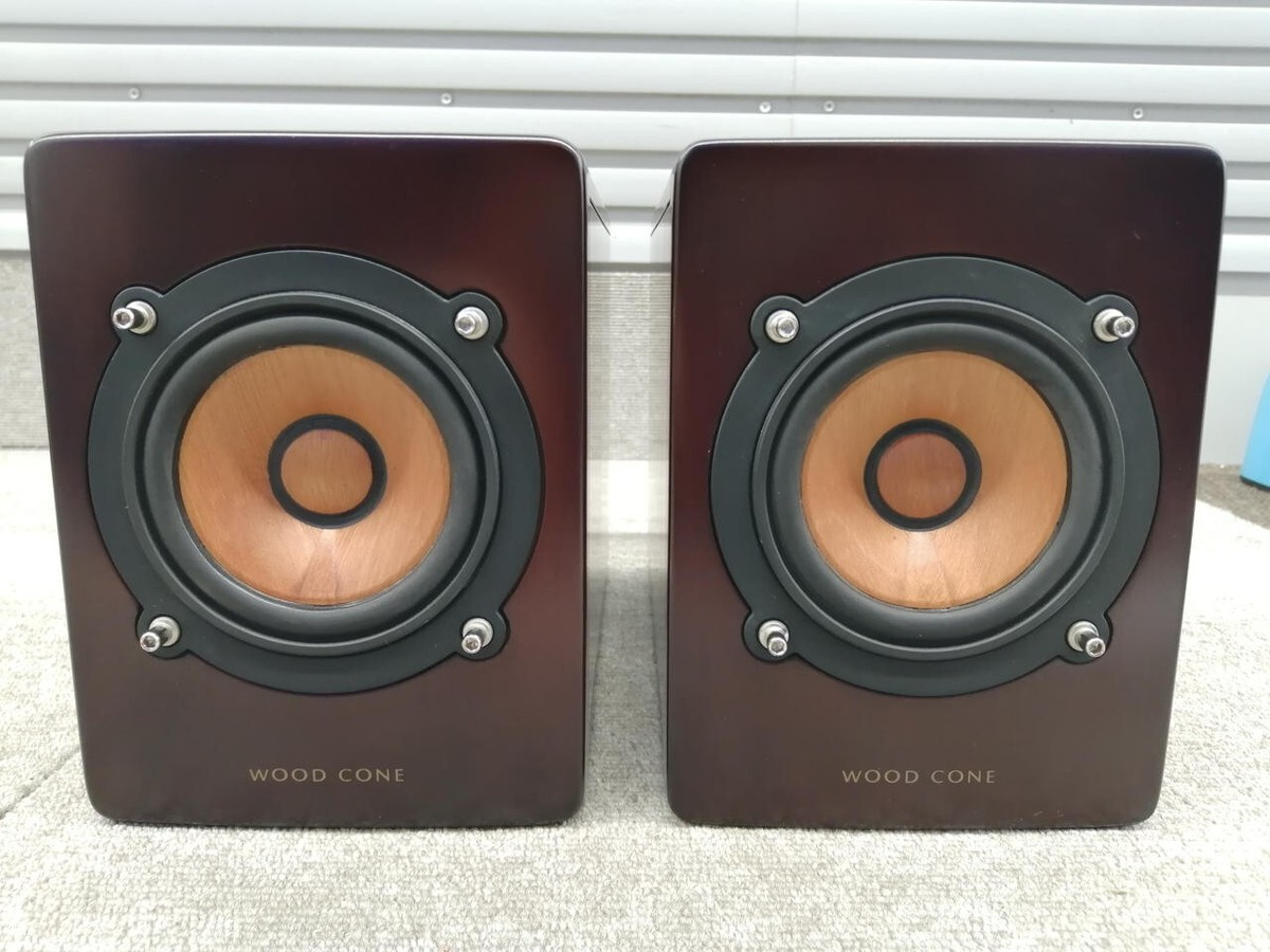 VICTOR SP-EXAR3 9cm Full Range Wood Cone Speaker System
