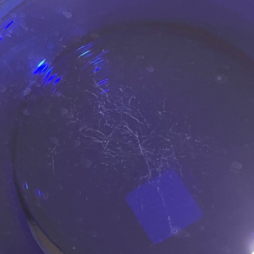 Anchor Hocking Cobalt Blue Glass 10” Plates Set Of 6 Pre owned. - 第 9/11 張圖片