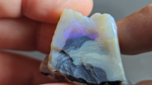 Lightning Ridge Opal Rough Parcel Blue Purple Lapidary 839.3 Carats Australian - Video 1 di 1