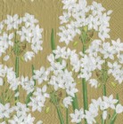 Gold Paperwhites Narcissus Christmas cocktail napkins 20 pk 25cm sq 3ply