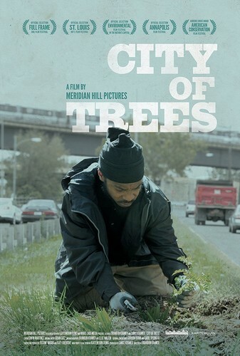 CITY OF TREES - Bild 1 von 1
