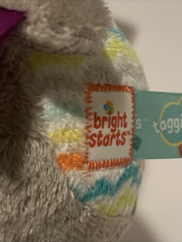 Bright Starts Taggies Wackel- und Glockenspiel Welpe 8 Zoll Hund grau Stofftier Plüschtier - Bild 19 von 21