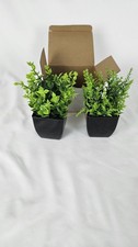 2 Small Green Faux Succulents In Black Pot 6" X 3"