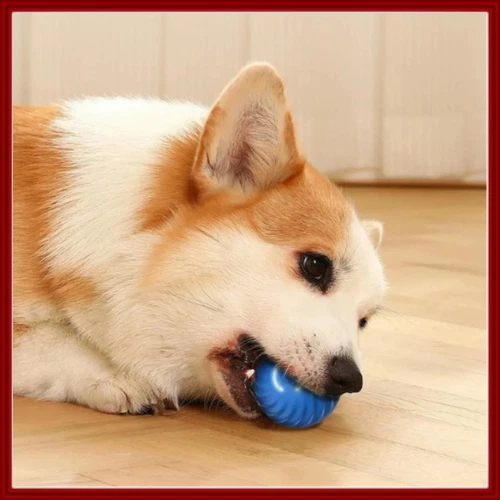 Smart Dog Toy Ball USB Electronic Interactive Pet Toy Automatic Moving Bouncing - Image 4 of 4