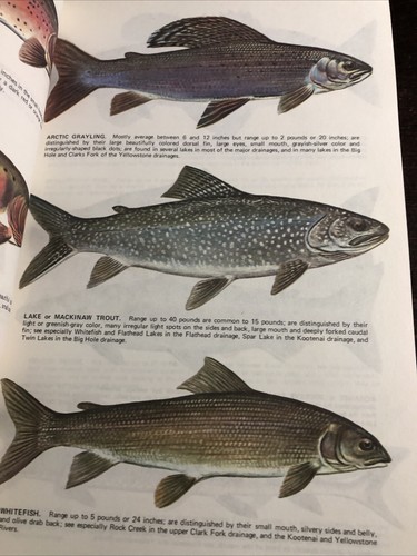 The Montanas Fishing Guide Vol 2 Montanas Waters East Autographed - Picture 9 of 19