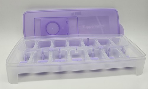 Cucciolo di ghiaccio Tupperware con coperchio viola, gelatiere con chiodo - Foto 3 di 4
