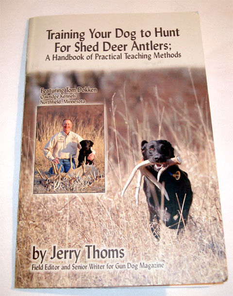 Training Your Dog to Hunt for Shed Deer Antlers Tom Dokken/Thoms and Rack Wax
