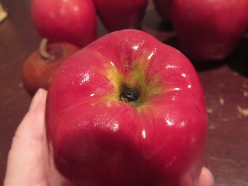 8 VINTAGE REALISTIC IN SIZE AND APPEARANCE WOODEN APPLES WITH WOODEN STEMS - Picture 5 of 5
