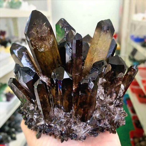 500-600g Natural Beatiful Black Quartz Crystal Cluster Specimen Healing - Bild 7 von 12