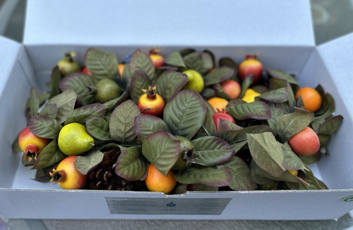 Nueva Guirnalda Partylite Della Robbia P7815 Frutas Manzanas Naranjas Peras Arándanos - Imagen 4 de 14