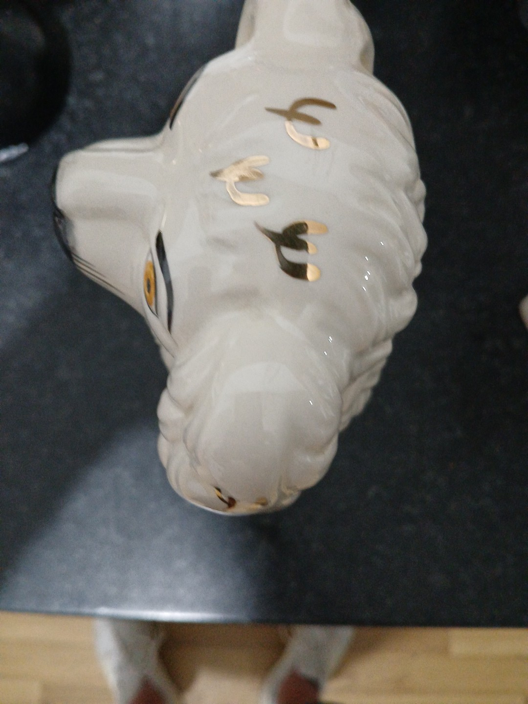 Picture 6 of 17