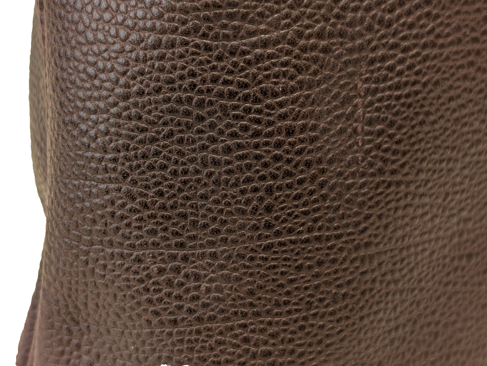Picture 22 of 24