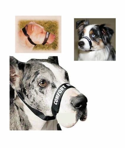 Küstenverstellbare Komfortschnauze für Hunde - Bild 2 von 7