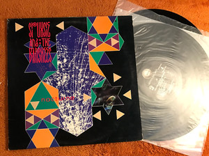帯付日本盤2LP Siouxsie and the Banshees ノクターン Siouxsie And The Banshees - Nocturne - Amazon.com Music